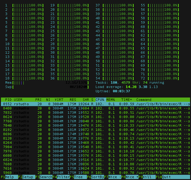 "Amazon EC2 lme4 simulation 72 cores"